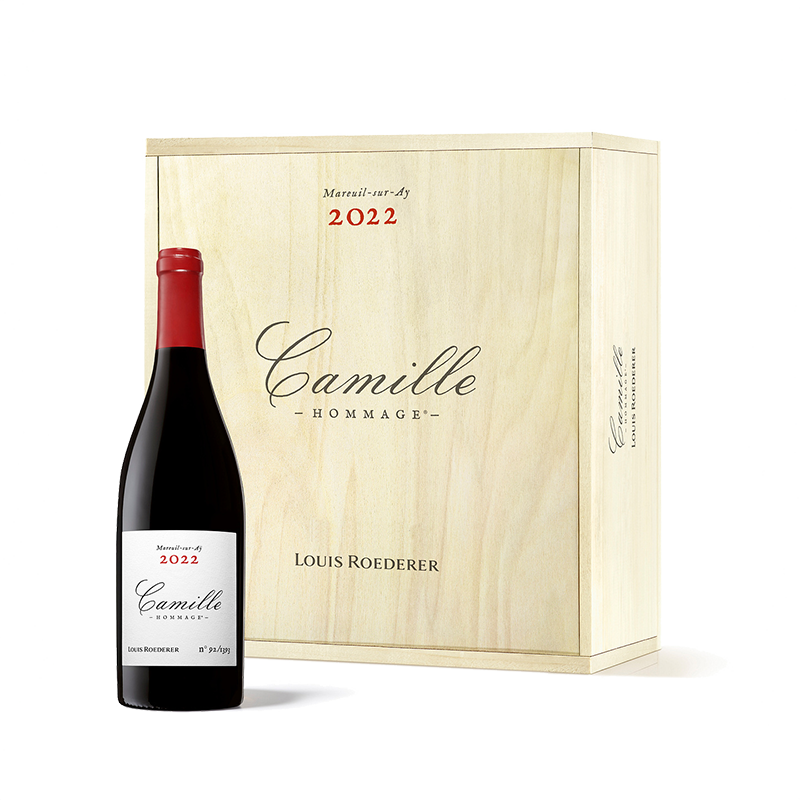 Hommage à Camille Rouge 2022