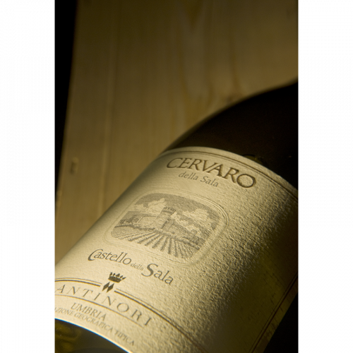 de Coninck Wine Merchant Antinori - IGT Umbria - Cervaro Della Sala 2022